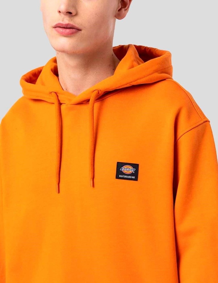 Sudadeira DICKIES mount vista hoodie burnt orange